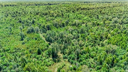 196 Acre Sportsman's Paradise Pointe Coupee Parish, LA - image 8