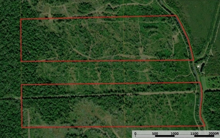 196 Acre Sportsman's Paradise Pointe Coupee Parish, LA - image 10