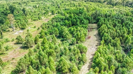 196 Acre Sportsman's Paradise Pointe Coupee Parish, LA - image 5