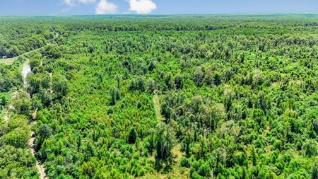 196 Acre Sportsman's Paradise Pointe Coupee Parish, LA - image 7