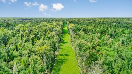196 Acre Sportsman's Paradise Pointe Coupee Parish, LA - image 2
