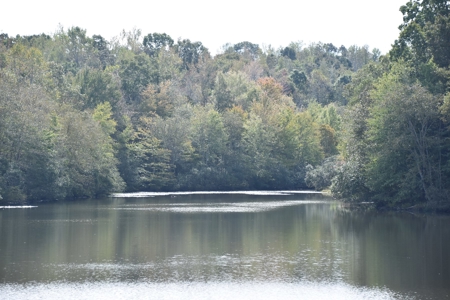 100 Commercial Acres,  Direct I-40 Frontage - image 2