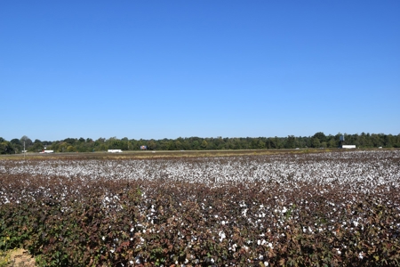 100 Commercial Acres,  Direct I-40 Frontage - image 18