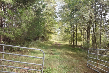 100 Commercial Acres,  Direct I-40 Frontage - image 35