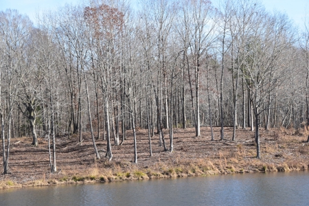 100 Commercial Acres,  Direct I-40 Frontage - image 13