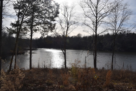 100 Commercial Acres,  Direct I-40 Frontage - image 11