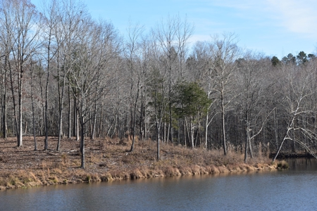 100 Commercial Acres,  Direct I-40 Frontage - image 14