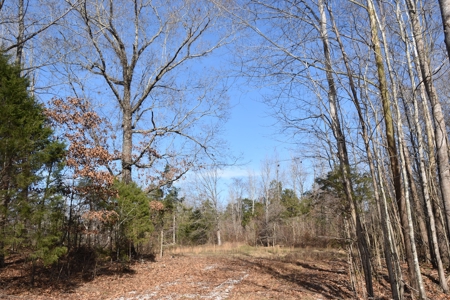 100 Commercial Acres,  Direct I-40 Frontage - image 12