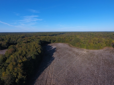 100 Commercial Acres,  Direct I-40 Frontage - image 9