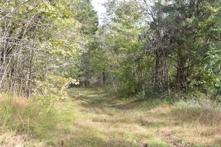 100 Commercial Acres,  Direct I-40 Frontage - image 34