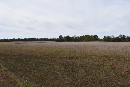 100 Commercial Acres,  Direct I-40 Frontage - image 28