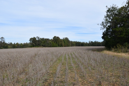 100 Commercial Acres,  Direct I-40 Frontage - image 27