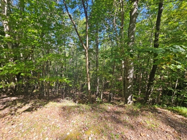 Listing 85