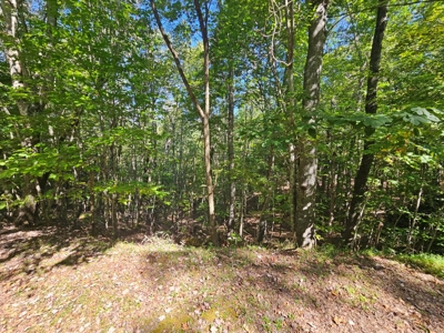 Land for Sale in Tazewell VA - image 12
