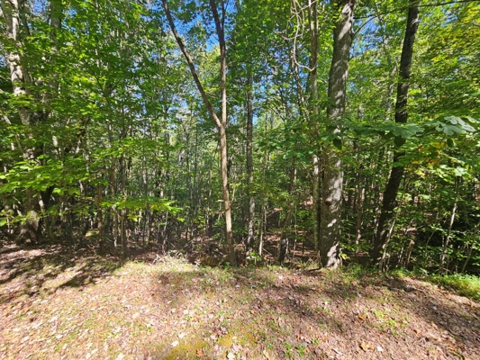 Land for Sale in Tazewell VA