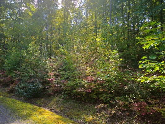 Land for Sale in Tazewell VA