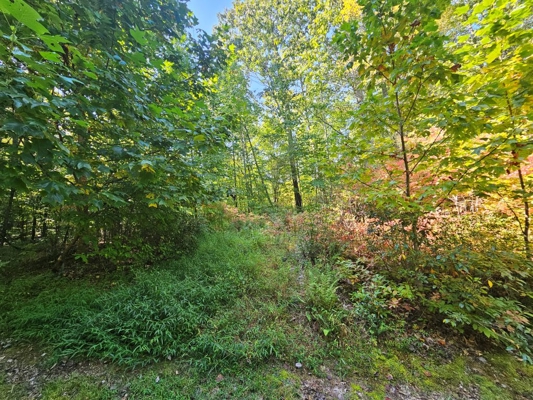 Land for Sale in Tazewell VA