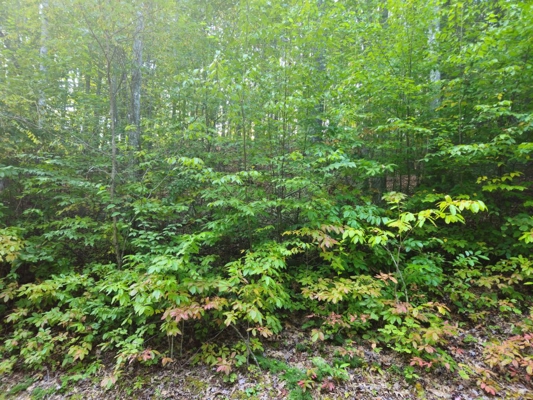 Land for Sale in Tazewell VA