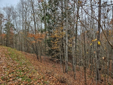 Listing 85