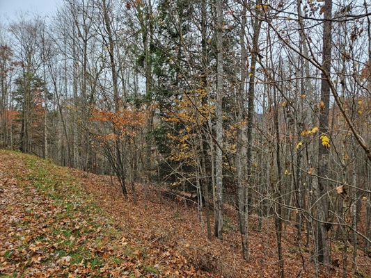 Land for Sale in Tazewell VA