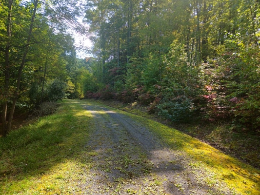 Land for Sale in Tazewell VA