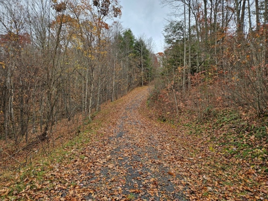 Land for Sale in Tazewell VA