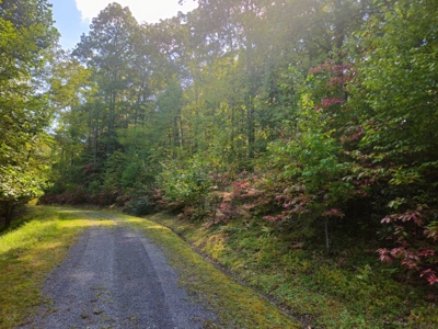 Land for Sale in Tazewell VA - image 6