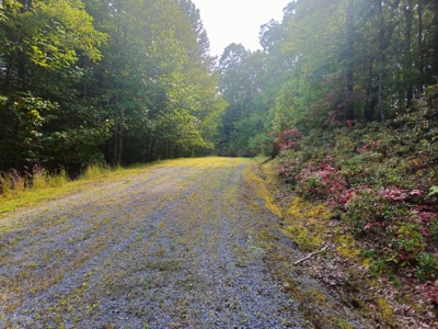 Land for Sale in Tazewell VA - image 4