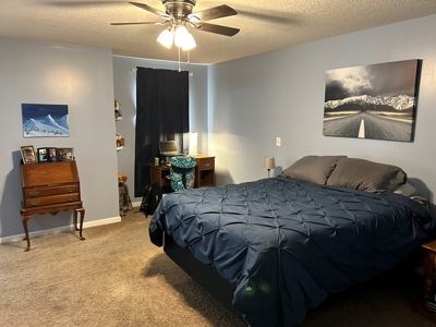 3 Bedroom 2 Bath Home For Sale - Liberty Kentucky - image 41