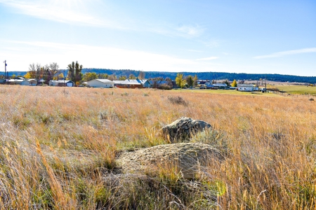 2 Residential Lots located in Roundup, MT - image 5