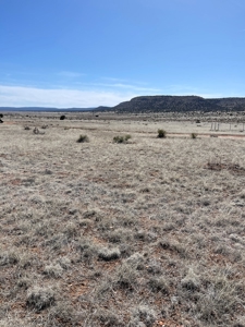 Two Lots Are Included With This Price! - image 7