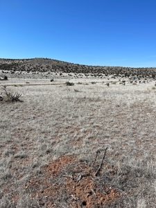 Two Lots Are Included With This Price! - image 5
