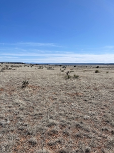 Two Lots Are Included With This Price! - image 3
