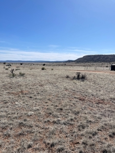 Two Lots Are Included With This Price! - image 2
