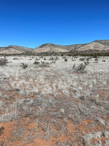 Two Lots Are Included With This Price! - image 1
