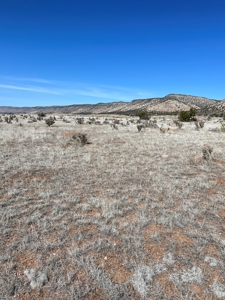Two Lots Are Included With This Price! - image 4