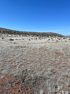 Two Lots Are Included With This Price! - image 6