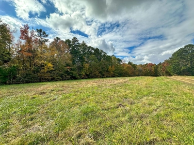 Lakefront Living Awaits: 3.5 Acres on Buggs Island Lake, VA - image 1