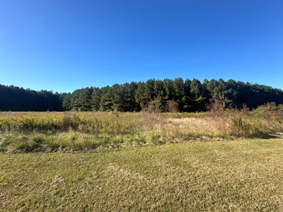 68.5-Acre Estate with Dual Homes & Timberland in NC - image 22