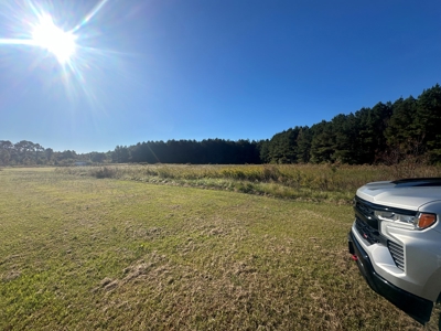 68.5-Acre Estate with Dual Homes & Timberland in NC - image 21