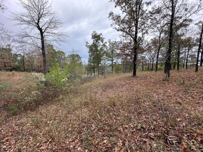 2.45+/- Acre Lake Barnett Lot For Sale near Searcy, AR - image 13