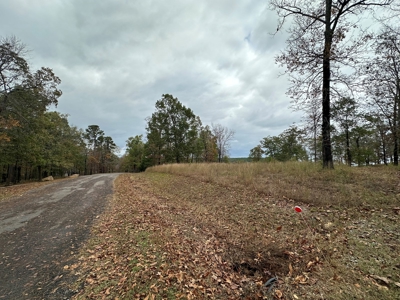 2.45+/- Acre Lake Barnett Lot For Sale near Searcy, AR - image 20