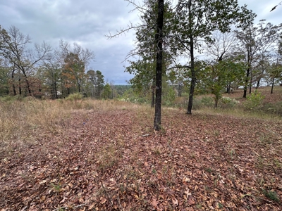 2.45+/- Acre Lake Barnett Lot For Sale near Searcy, AR - image 16