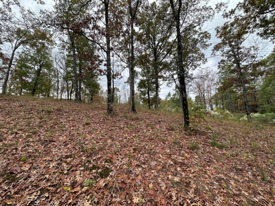 2.45+/- Acre Lake Barnett Lot For Sale near Searcy, AR - image 5