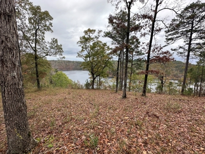 2.45+/- Acre Lake Barnett Lot For Sale near Searcy, AR - image 4