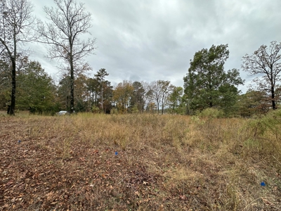 2.45+/- Acre Lake Barnett Lot For Sale near Searcy, AR - image 15