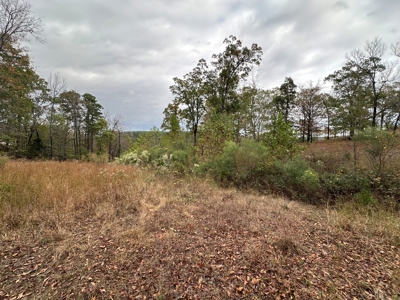 2.45+/- Acre Lake Barnett Lot For Sale near Searcy, AR - image 14