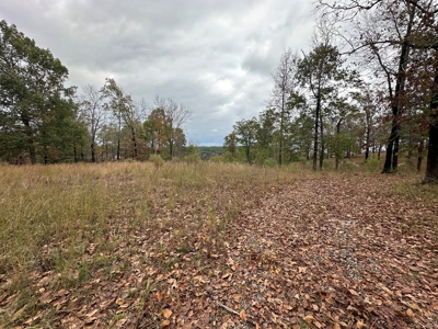 2.45+/- Acre Lake Barnett Lot For Sale near Searcy, AR - image 17