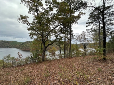 2.45+/- Acre Lake Barnett Lot For Sale near Searcy, AR - image 10