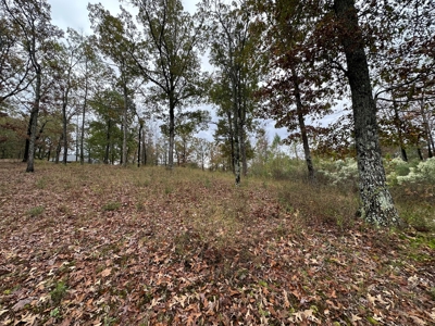 2.45+/- Acre Lake Barnett Lot For Sale near Searcy, AR - image 6